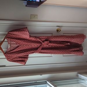 Indigo Rose Polka dot dress